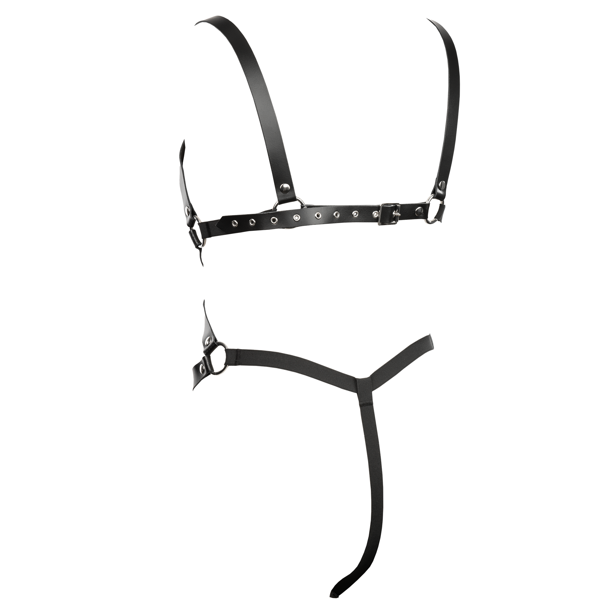 Rimba - Riemen-string body