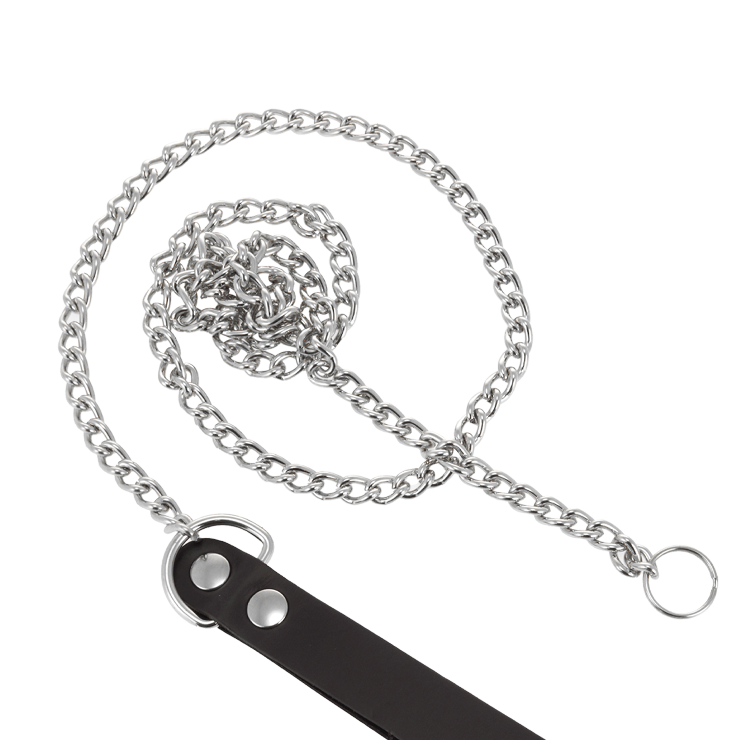 Rimba - Hondenketting