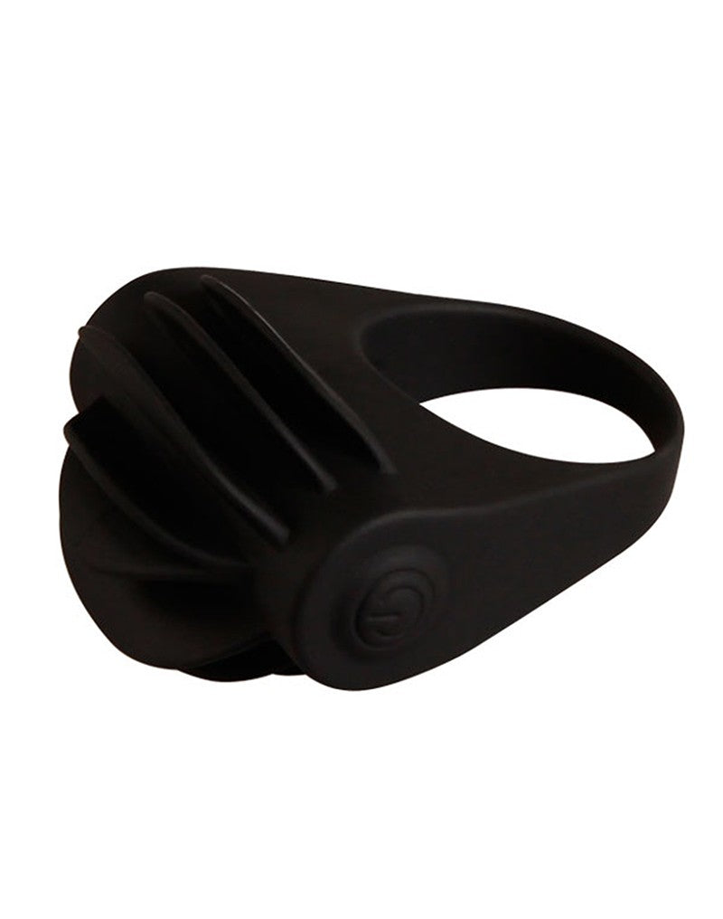 Crazy Bull - Chester