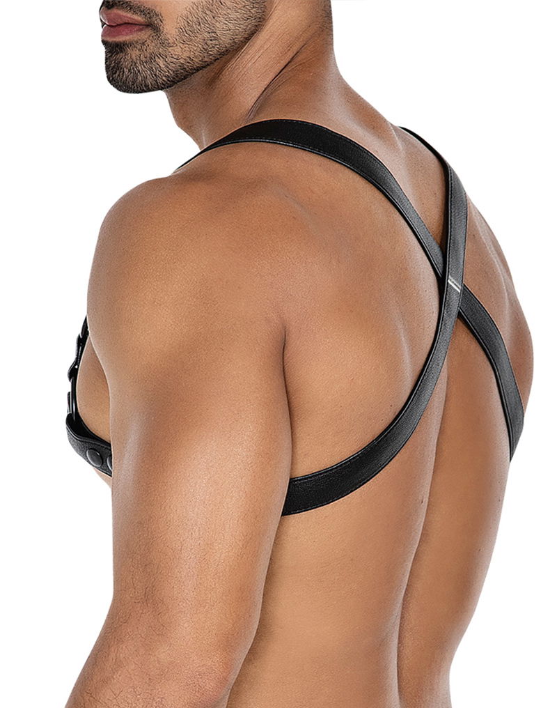 H4RNESS by C4M - 4WAY Harnas - Zwart