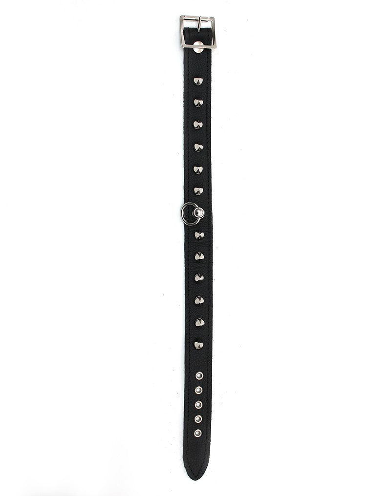 Rimba - Halsband  2.5 cm. breed, versierd met spikes