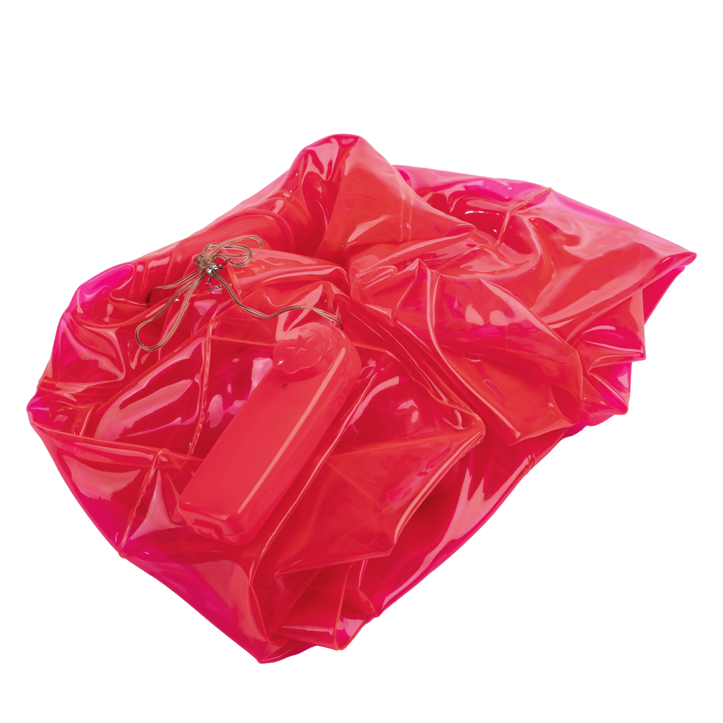 Inflatable Fun Cushion - met Ding Dong en afstandsbediening - Roze