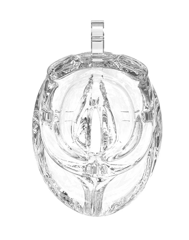 Rimba P- Cage - P-Cage PC10 - Peniskooi Pussy - Transparant