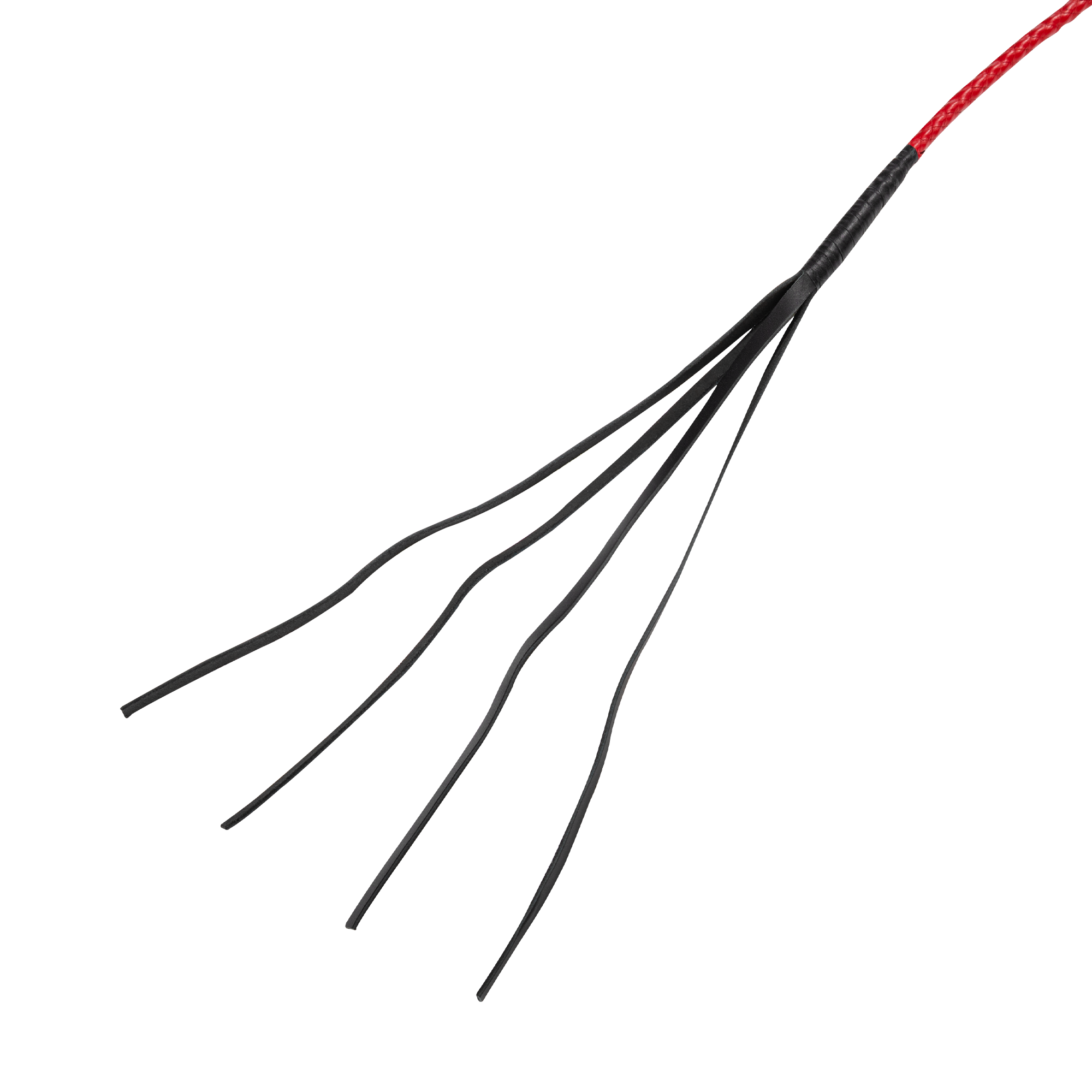 RISE - Feather - Rood