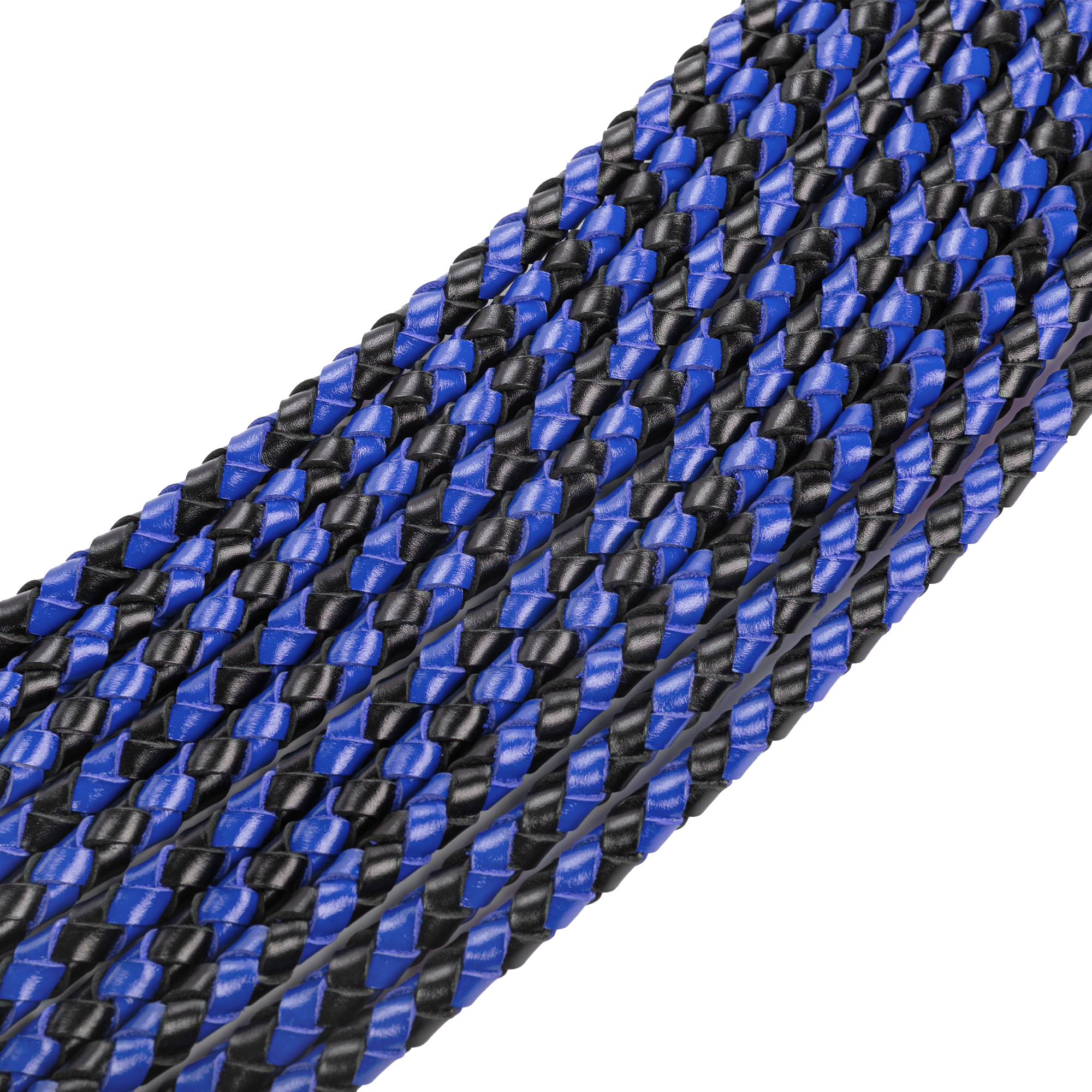 RISE - Heavy Cat O. Nine Whip - Zwart/Blauw