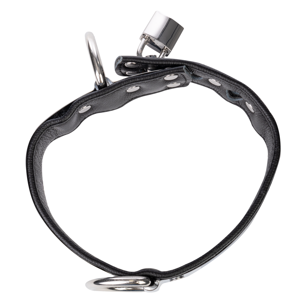 Rimba - Leder Halsband met metaal en hangslot