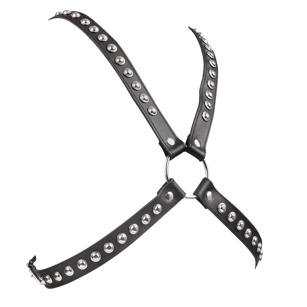 Rimba - Chest harnas versierd met studs