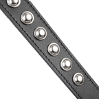 Rimba - Chest harnas versierd met studs