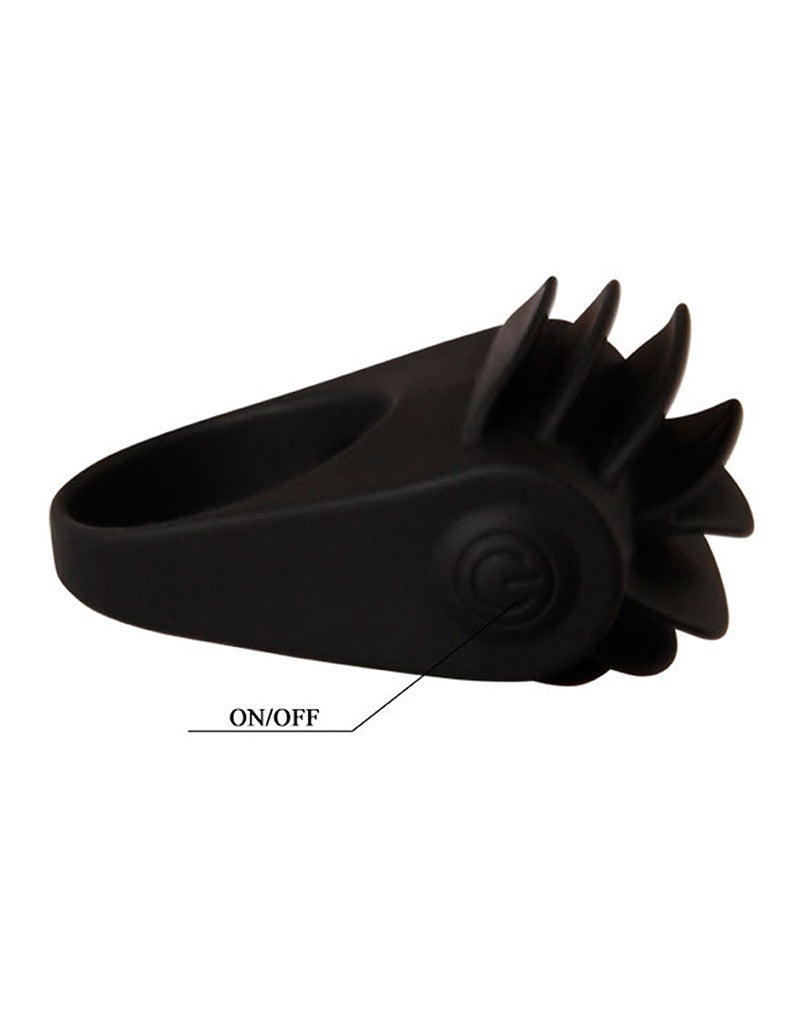 Crazy Bull - Chester