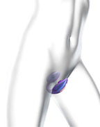 Love to Love - Wonderlover - Clitorisvibrator - Paars