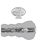 LoveToy - Alien's Pie 3 - Masturbator - Zwart