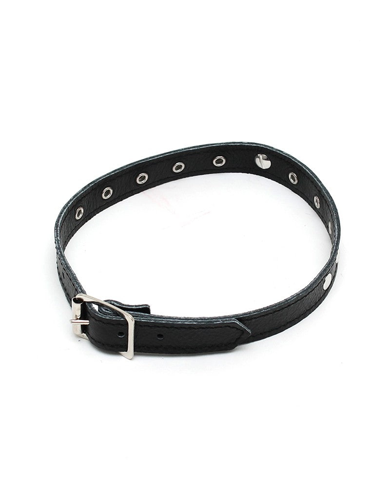 Rimba - Halsband  1.5 cm. breed, versierd met studs