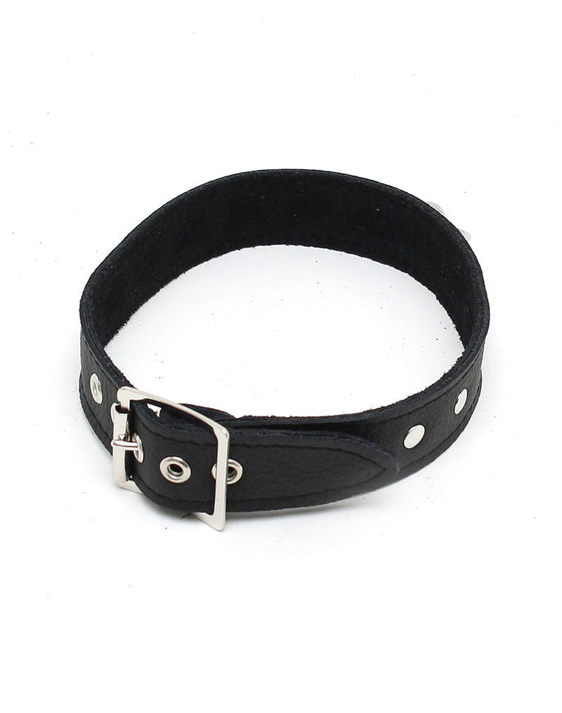 Rimba - Halsband  2.5 cm. breed, versierd met nieten