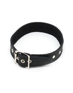 Rimba - Halsband  2.5 cm. breed, versierd met nieten
