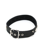 Rimba - Halsband  2.5 cm. breed, versierd met studs