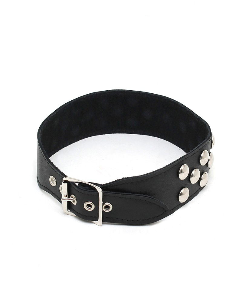 Rimba - Halsband  4 cm. breed, versierd met studs