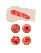 TAMASHII - Neighbor Girl - Mannelijke Masturbator - Nude