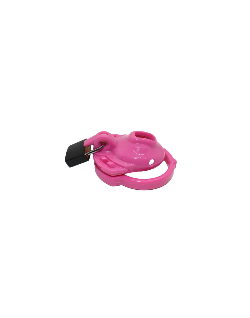 The Vice - Kuisheidskooi Clitty - Roze