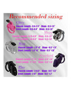 The Vice - Kuisheidskooi Clitty - Transparant